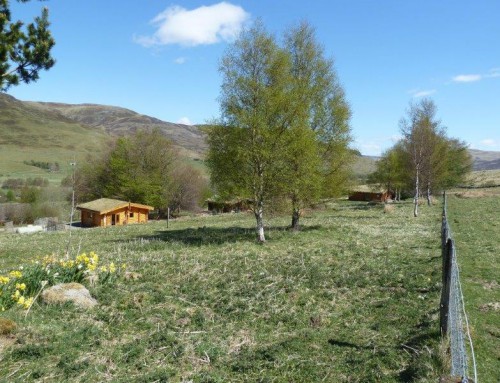 Scotsview, Clashmore and Cragdhu Log Cabins