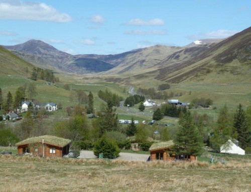 The Log Cabins and View North