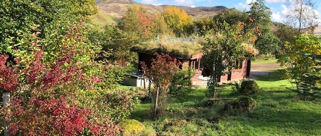 Autumn Log Cabins