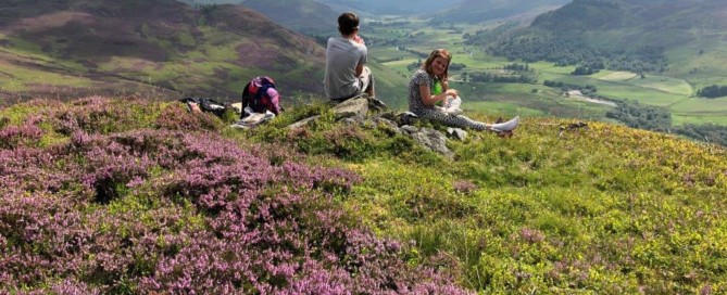 August Heather