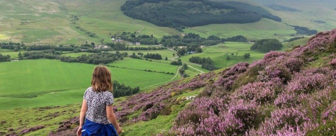 August Heather