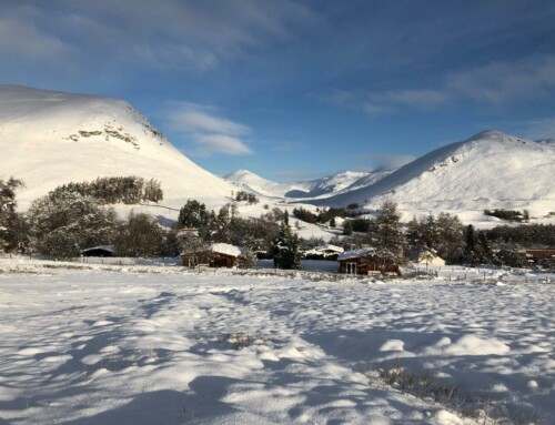 A Spectacular and Quiet Winters Day