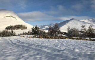 A Winter Birds Eye View of Glenbeag