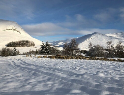 A Winter Birds Eye View of Glenbeag