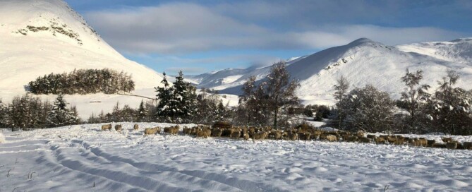 A Winter Birds Eye View of Glenbeag